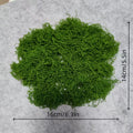 Moss Green,    Polyester So wont dry out on layouts