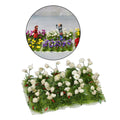 FLOWERING PLANTS 5 ASSORTED COLOURS YOUR CHOICE 20 /Pack 6-8 mm