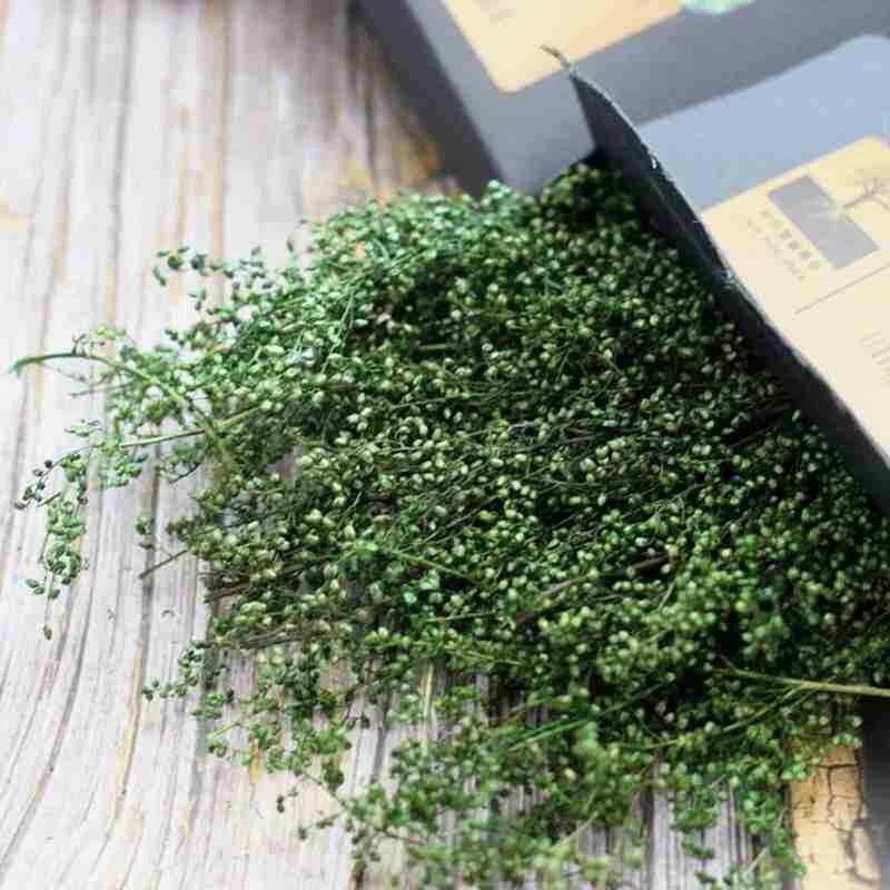 2 SHADES OF GREEN SHRUB MATERIAL/PRICKLY VINE