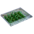 SIMULATION WEEDS 25 /Pack 7-8 mm